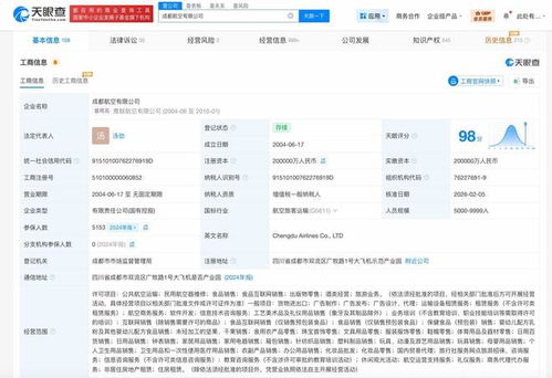 成都航空增资至20亿 以信息技术咨询服务为翼，展翅高飞